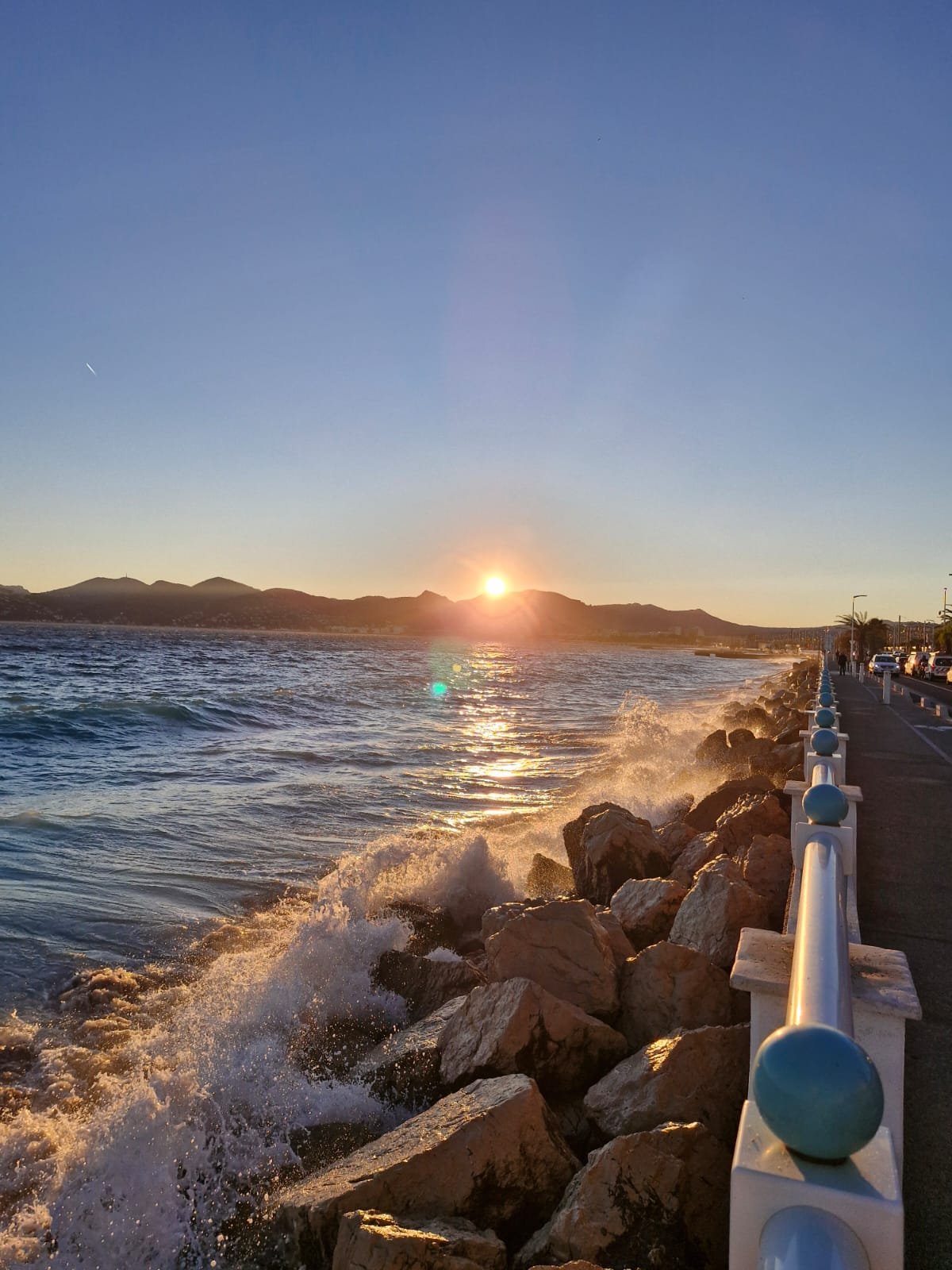 Expatriation et déracinement : thérapie - intervention de Laetitia Lahanier