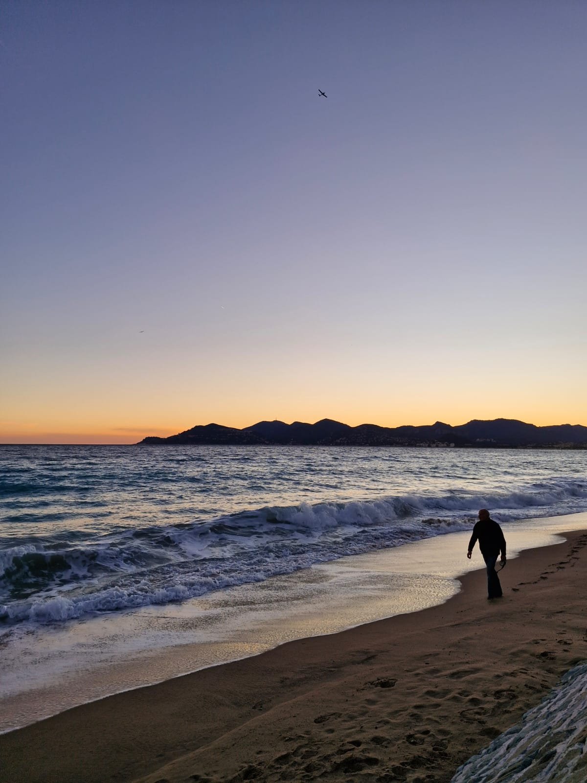 Réalisation Expatriation : gérer l’isolement et les émotions à distance - Laetitia Lahanier